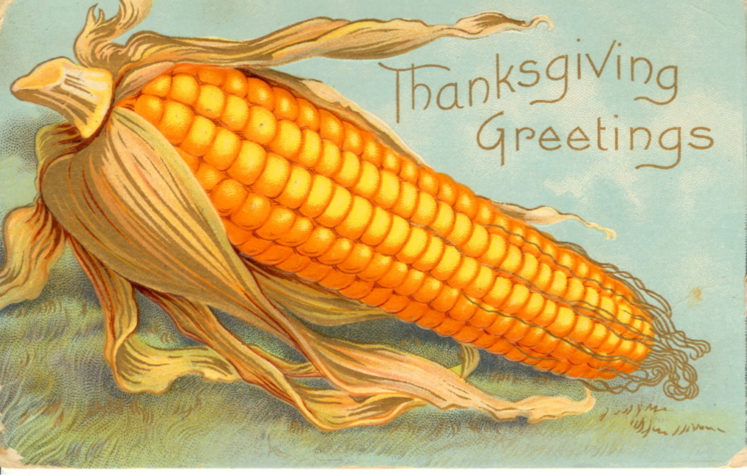 thanksgiving-corn 2015